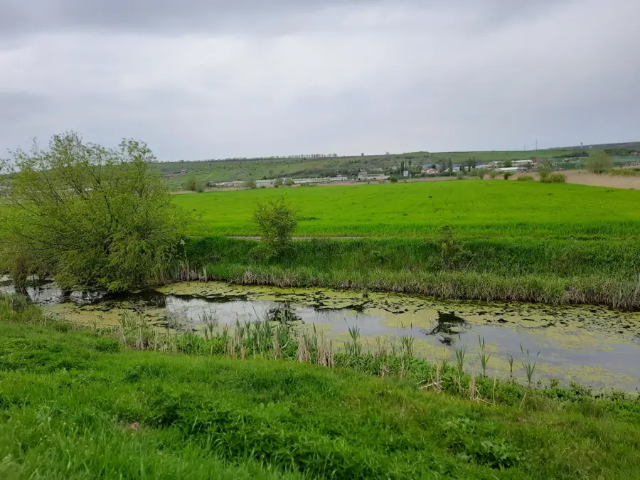 Botna Valley