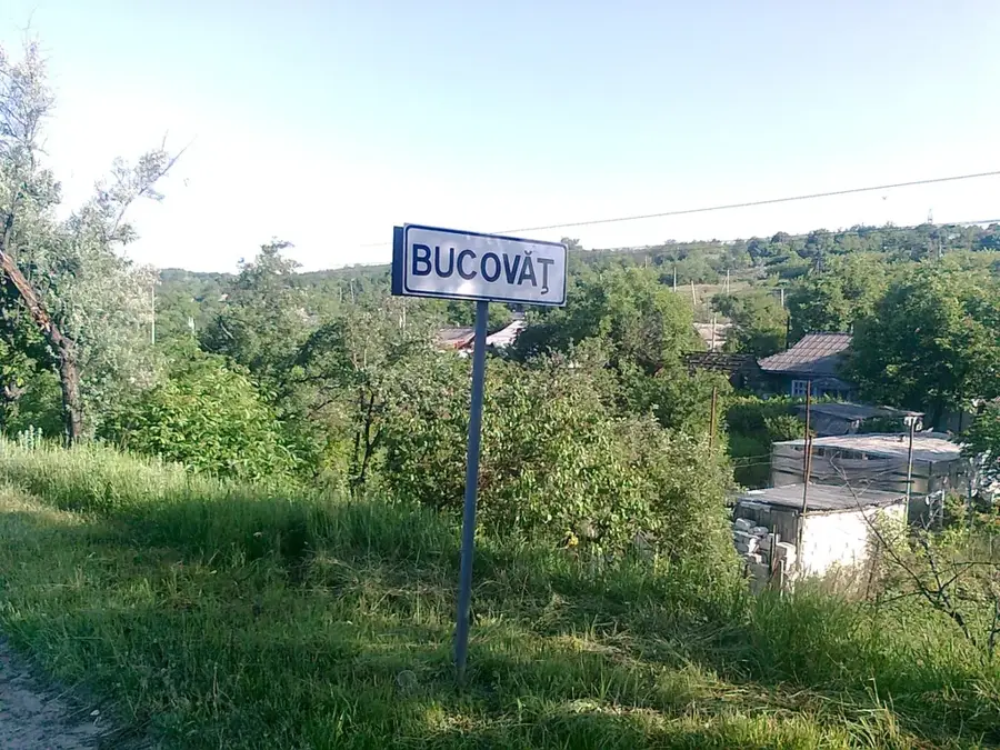 Bucovăț