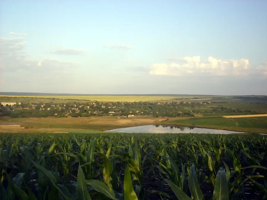 Cantemir