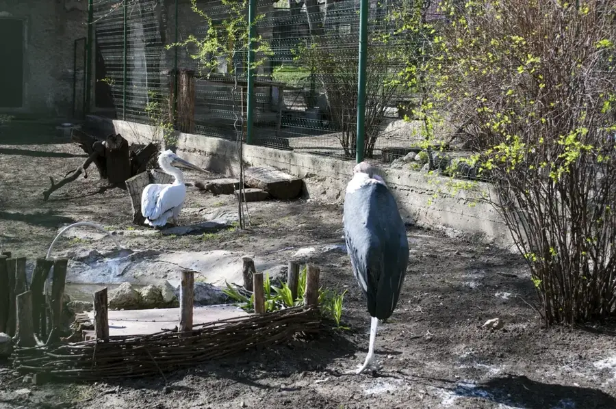 Zoo Chișinău