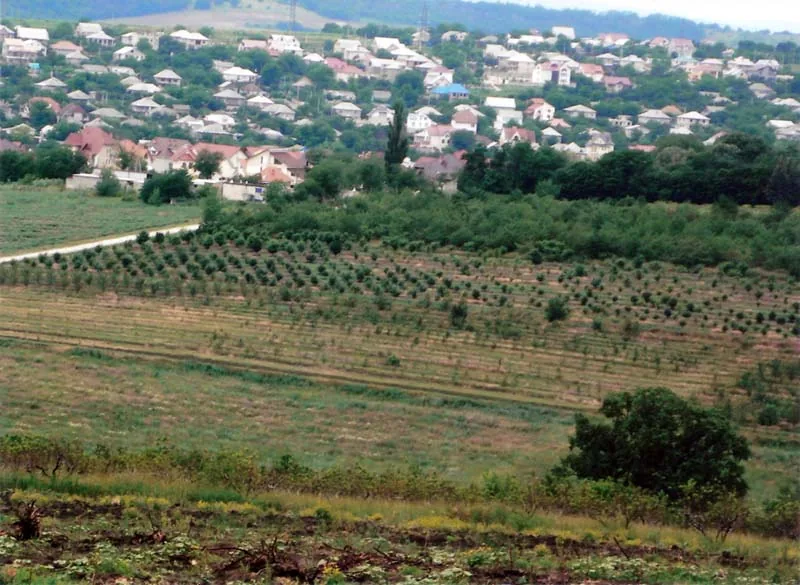 Codru — Codru Természetvédelmi Terület (Moldova)