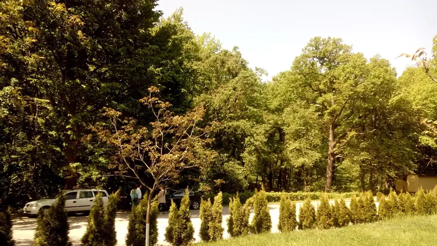 Rezervația Științifică Codru — Huși (România)