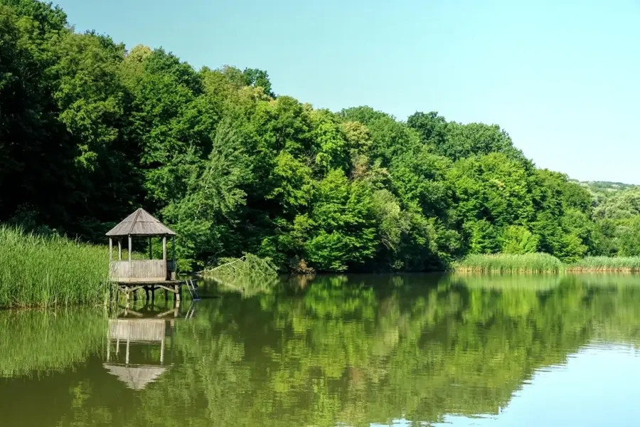 Plaiul Fagului Reserve — Ungheni (Moldova)
