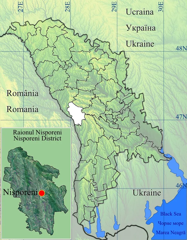 Platoul Nisporeni — Curtea Domnească din Vaslui (România)