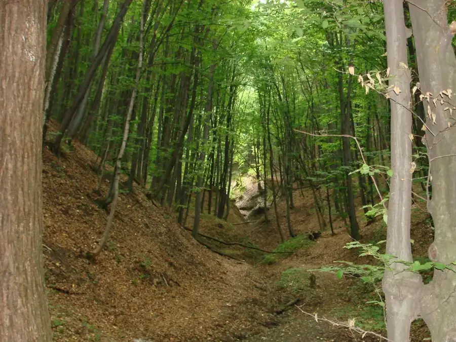 Landschaftsreservat Trebujeni — Orheiul Vechi (Moldau)