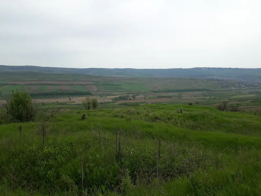 Valea Mare kúria — Căpriana kolostor (Moldova)
