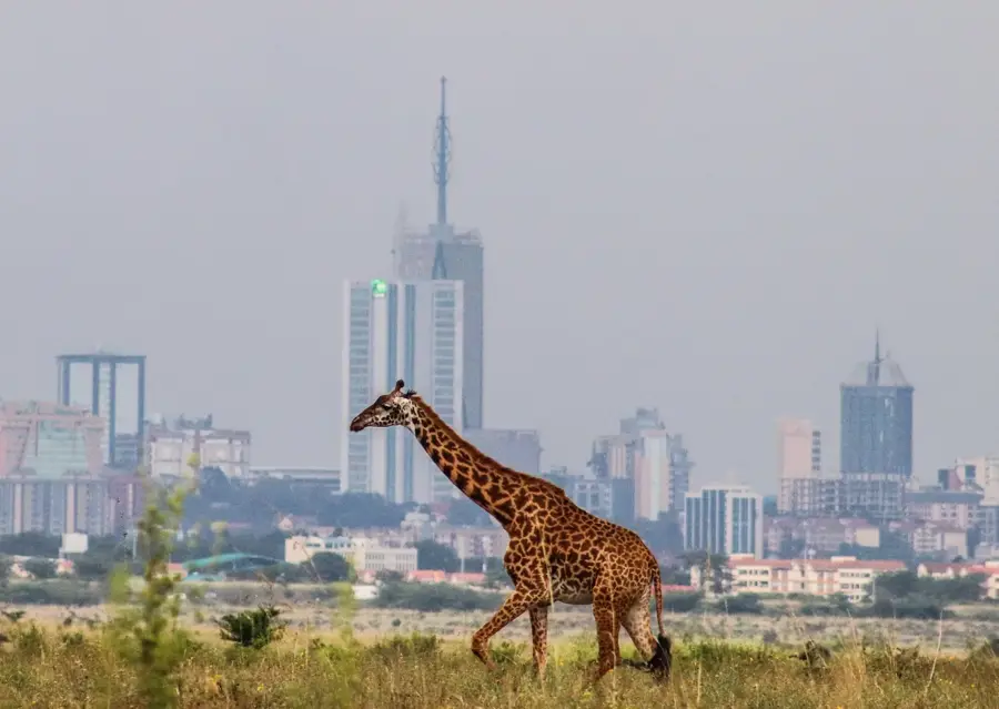Mombasa Tengeri Nemzeti Park