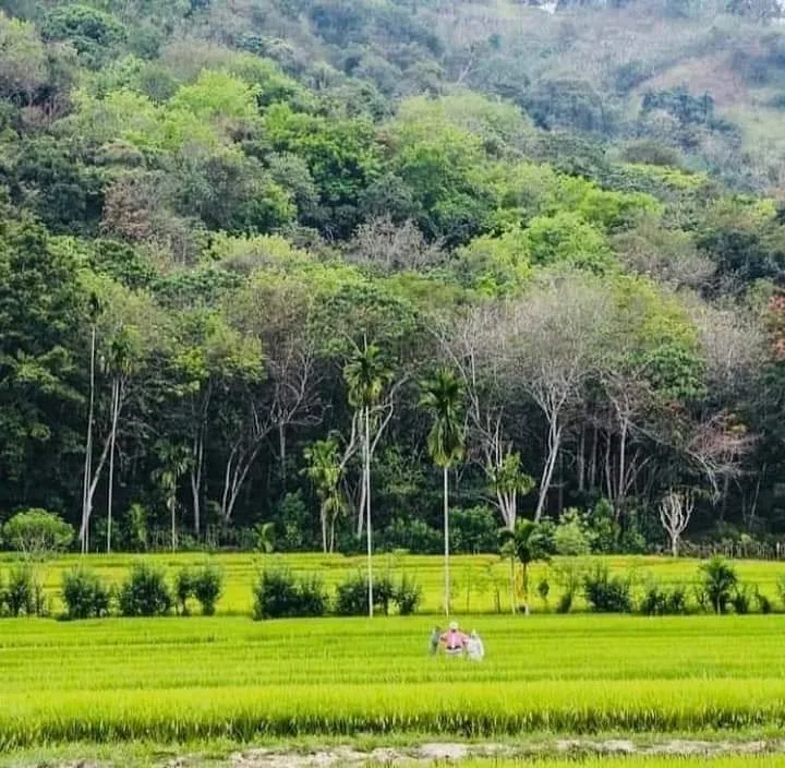 Moneragala