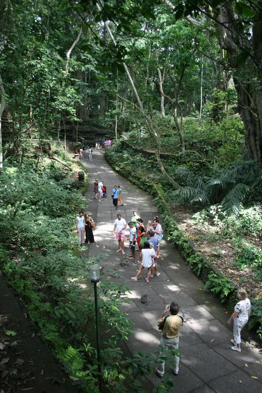 Affenwald von Ubud