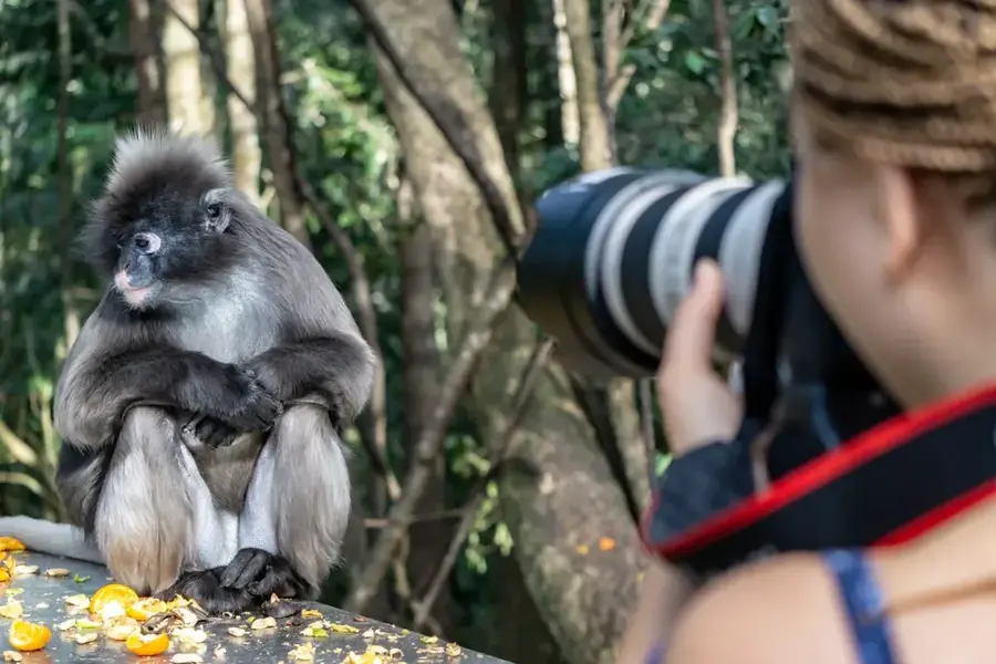 Monkeyland Primatenpark