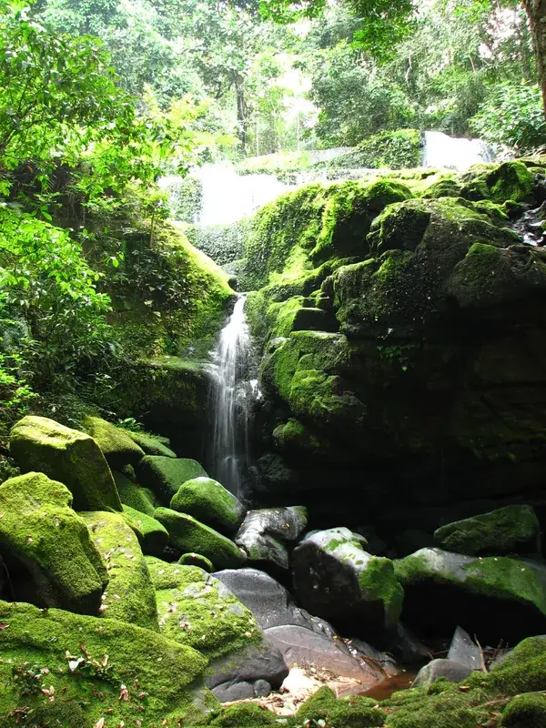 Ngouadi-hegy — Ouésso (Kongó – Brazzaville)