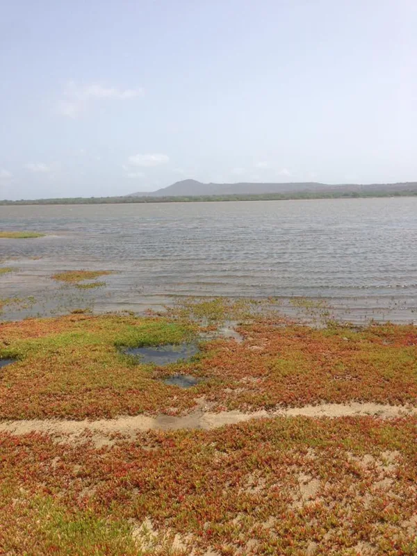 Monte Batalha — Barreiro (Cabo Verde)