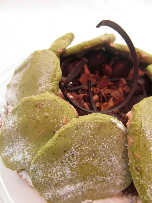 Monte Chocolate — Monte Mitra (Equatorial Guinea)
