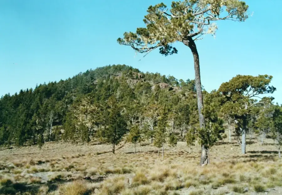 Monte Duarte — Golful Tarrafal (Capul Verde)
