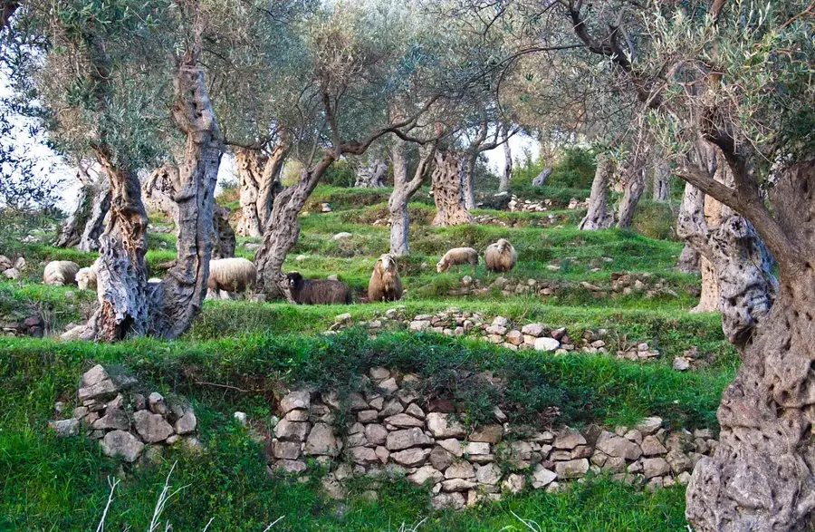 Kloster Donja Briska — Shkodrasee (Albanien)