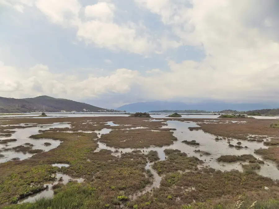 Solila madármegfigyelés — Orjen-hegység (Montenegró)
