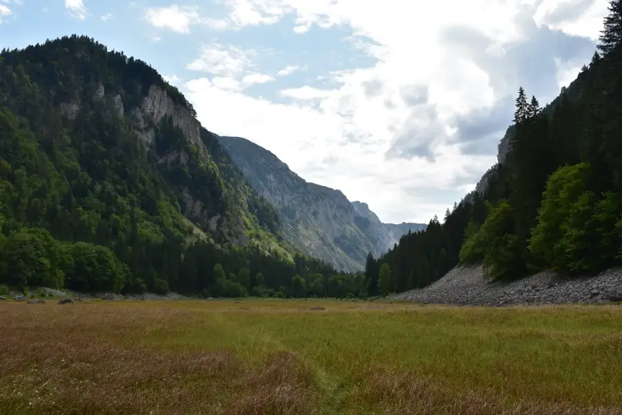 Tara Canyon Wildlife — Đurđevića Tara Bridge (Montenegro)