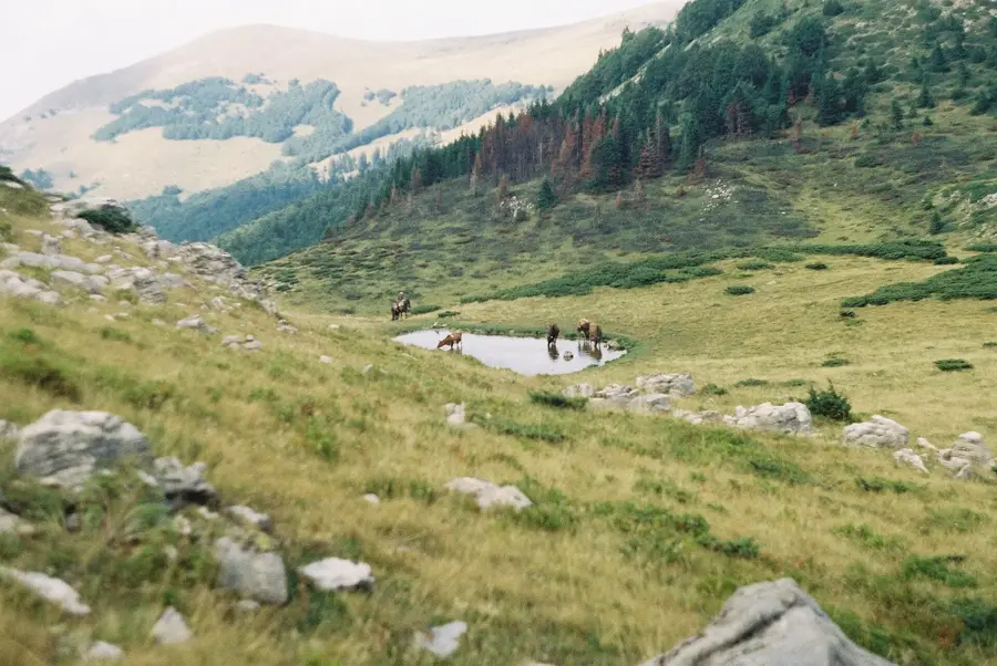 Vranjak Pasture — Mojkovac (Montenegro)
