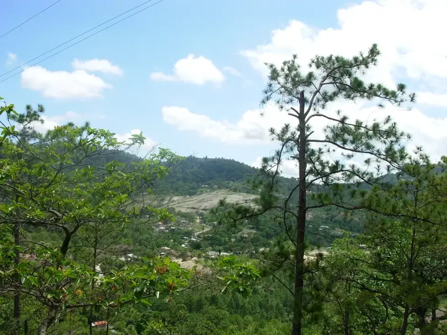 Morazán — Olanchito (Honduras)
