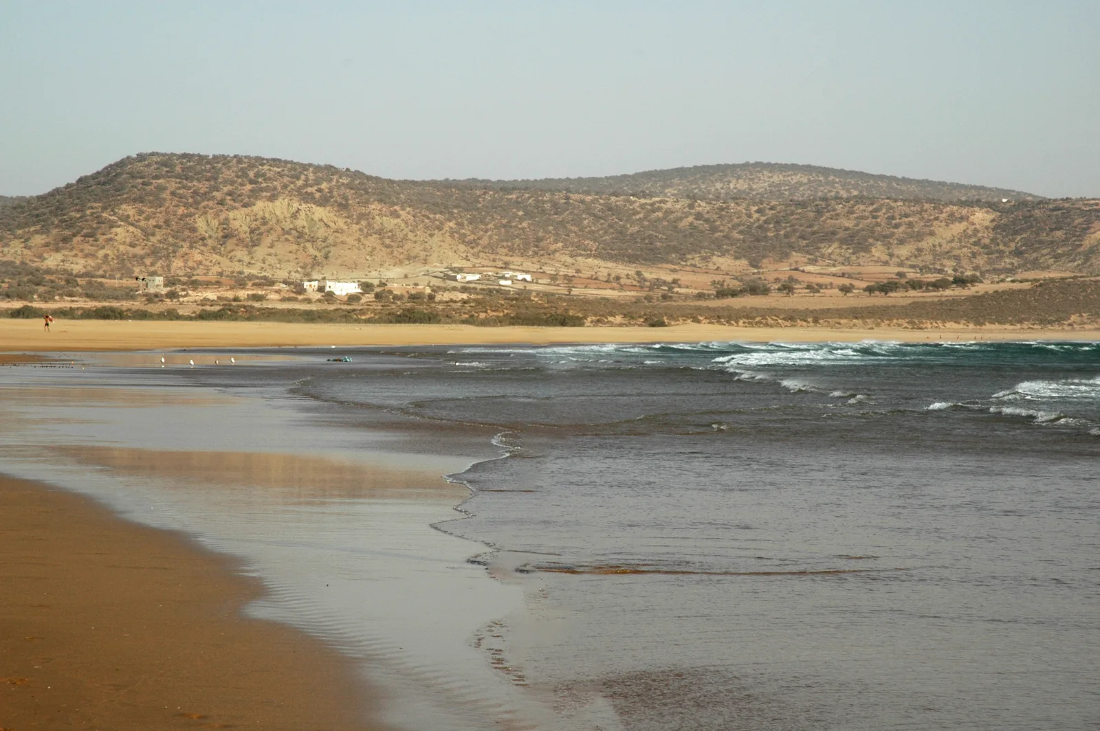 Tafedna