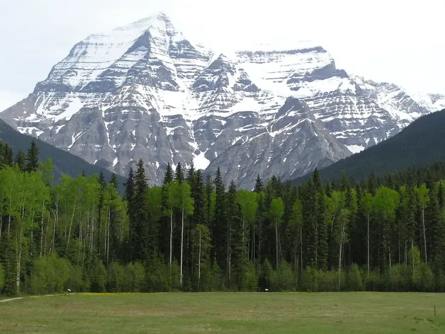 Mount Assiniboine Park Forest