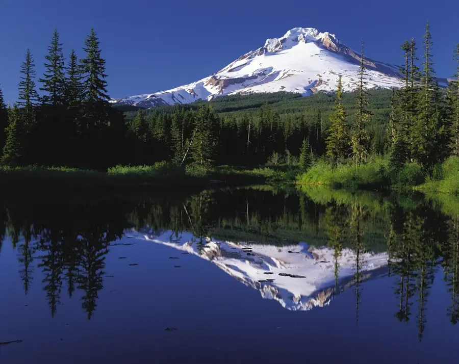 Mount Hood (United States)