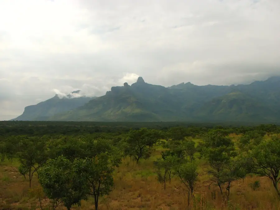Mount Moroto — Djelfa (Algerien)