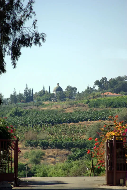 Berg der Seligpreisungen — Dan (Israel)