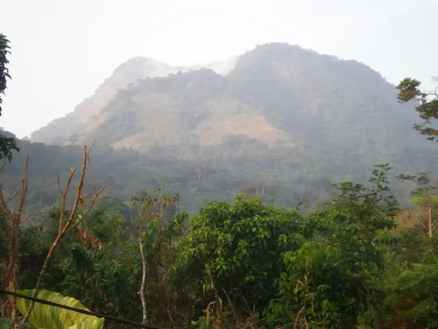 Rumpi Hills — Kumba (Cameroon)