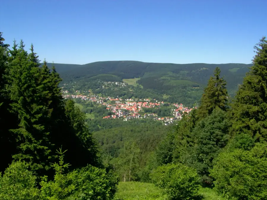 Großer Beerberg – Berg