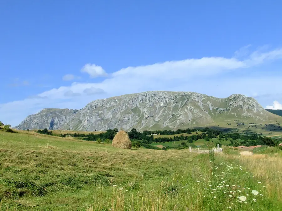 Munții Trascău – munte
