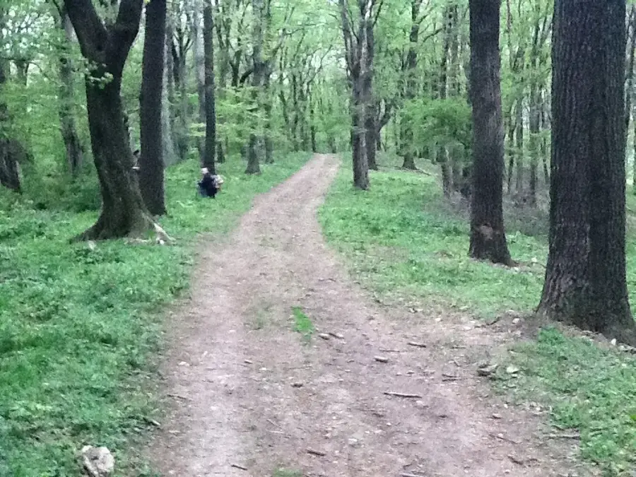 Zengő — Pécs (Magyarország)