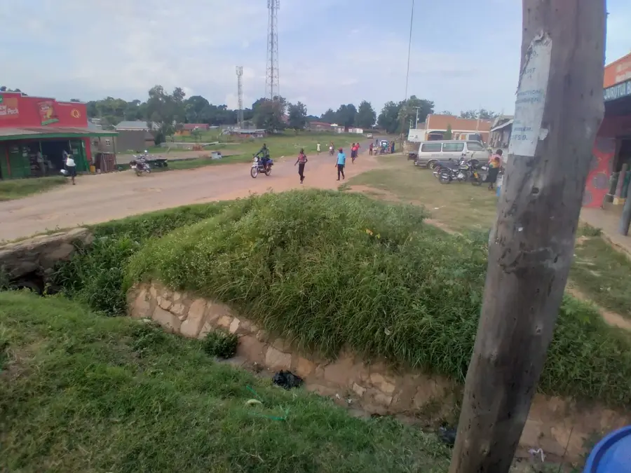 Moyo