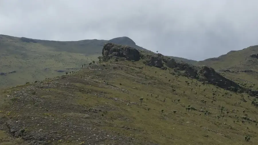 Satima-hegy — Laikipia-felföld (Kenya)