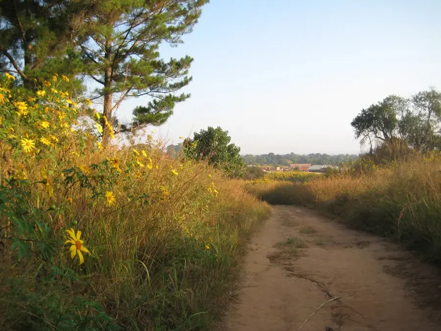 Mwinilunga Fluss-Bildung