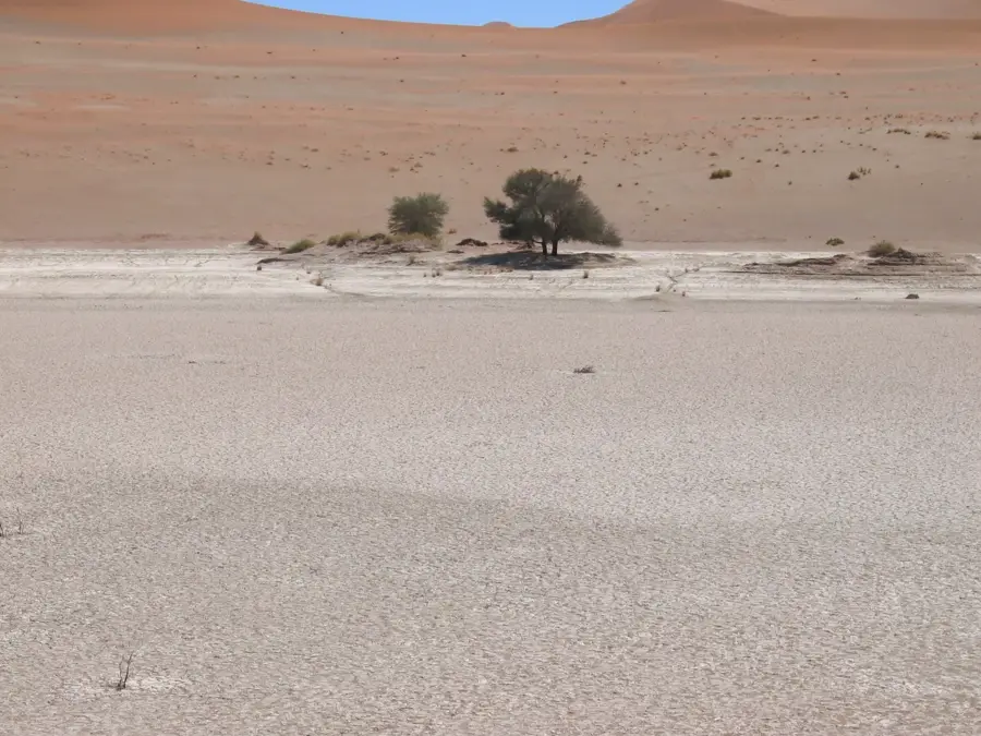 Deadvlei — Namib-Wüste (Namibia)