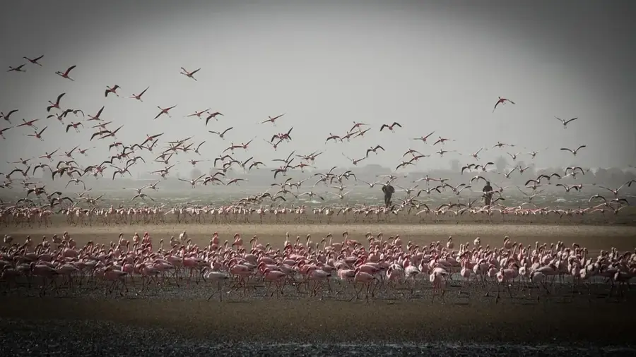 Skelettküste — Ugab-Fluss (Namibia)