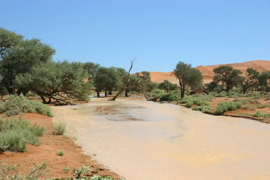 Tsauchab-Fluss — Namib-Wüste (Namibia)