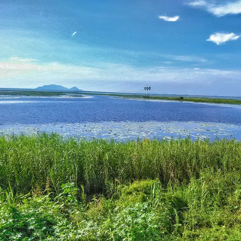 Nakhonszavan