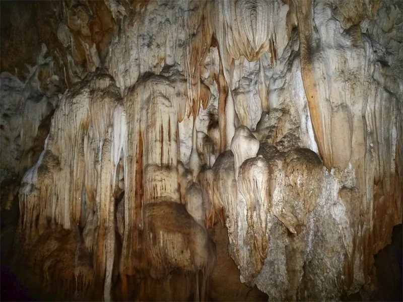 Nam Ha National Protected Area