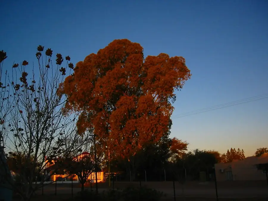 Mariental Agricultural Hub — Gibeon (Namibia)
