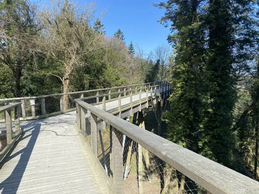 Pădurea Avondale — Naas (Irlanda)