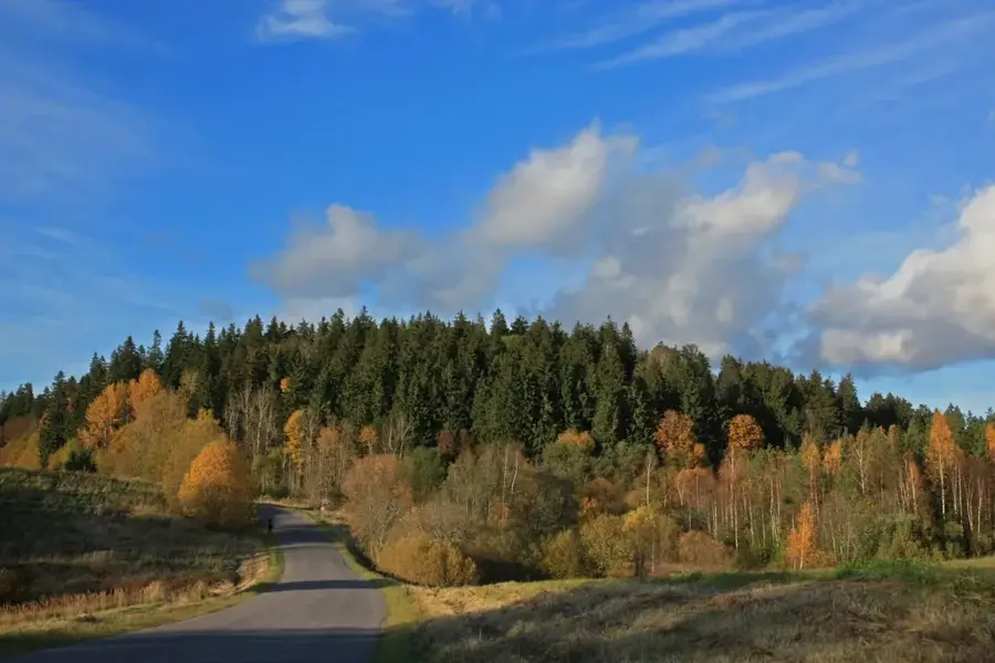Suur Munamägi (Estonia)