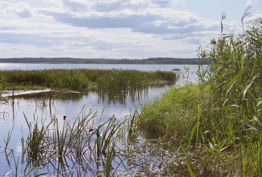 Lake Võrtsjärv (Estonia)