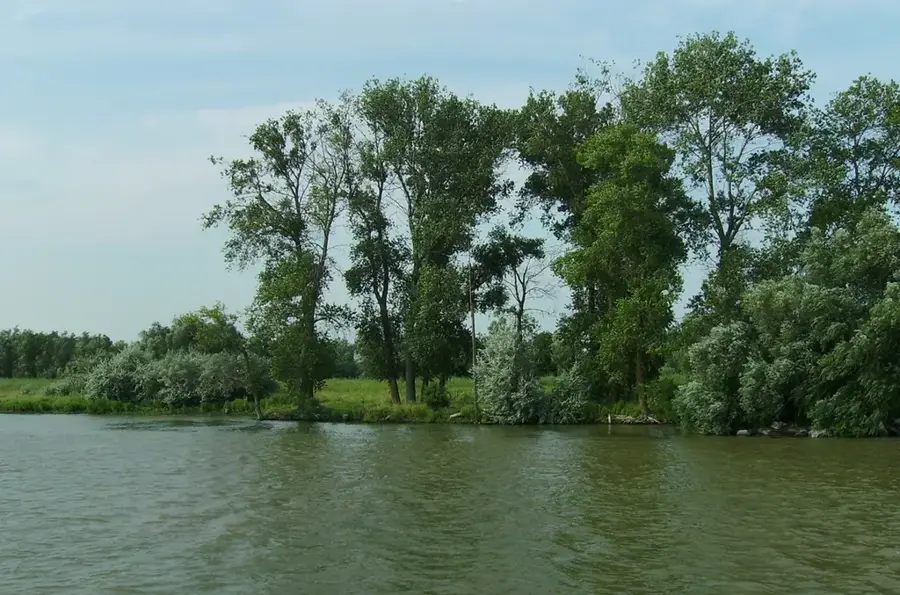 Pădurea Letea – obiectiv turistic