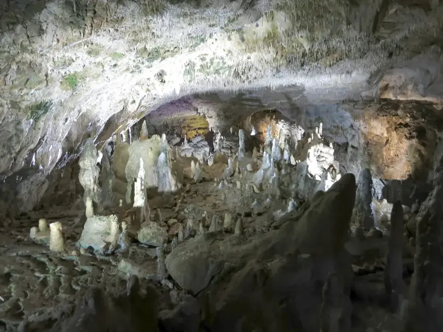 Peștera Urșilor – obiectiv turistic