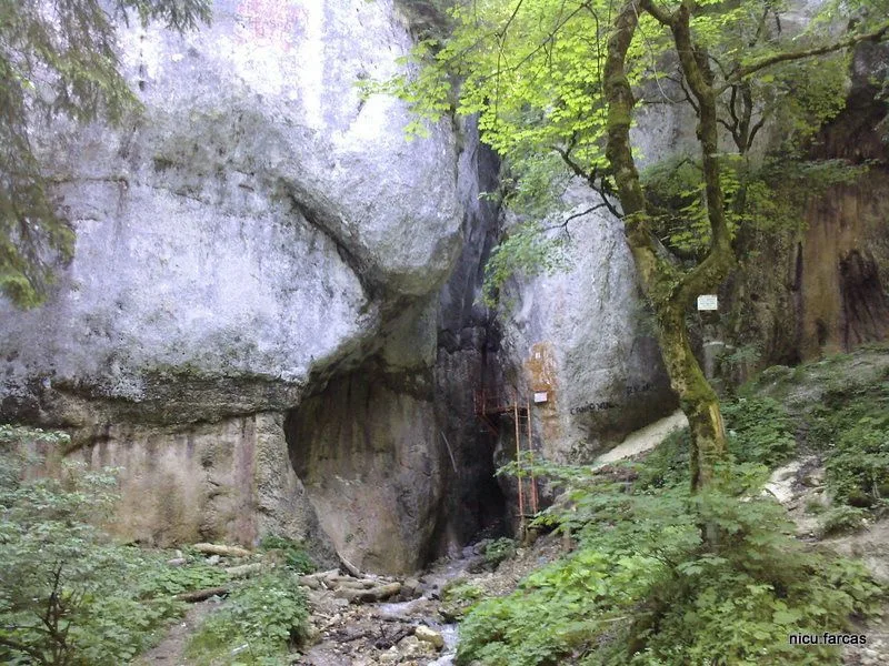 Canionul Șapte Scări – obiectiv turistic