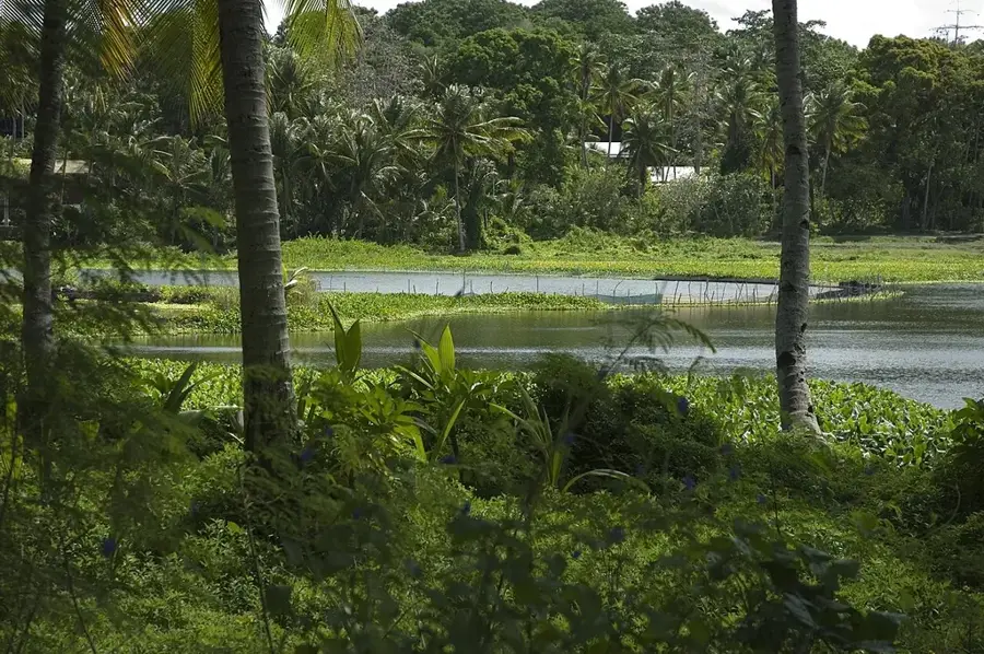 Buada — Centenary Complex (Nauru)