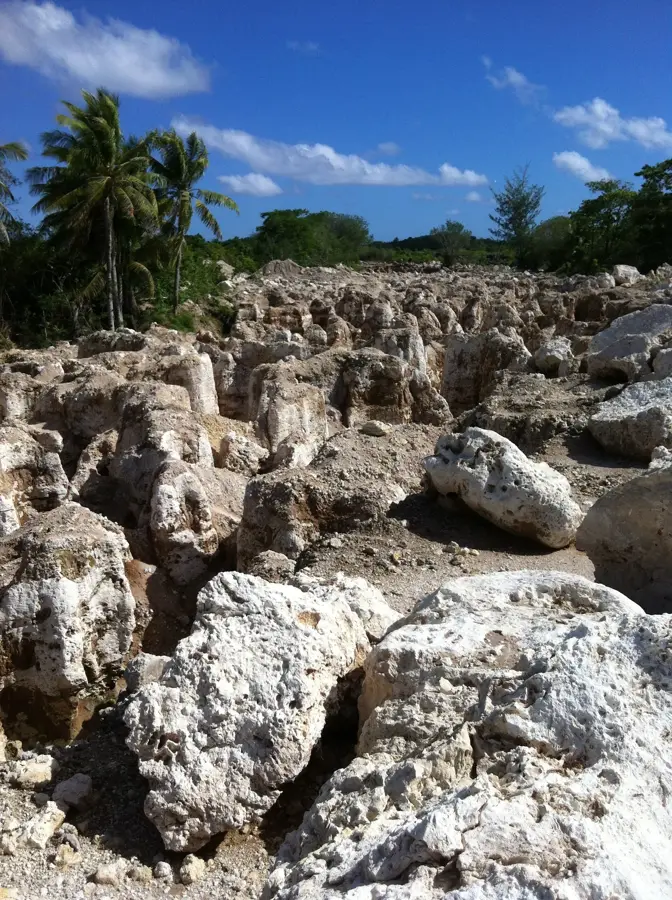 Naurui Múzeum — Meneng-strand (Nauru)