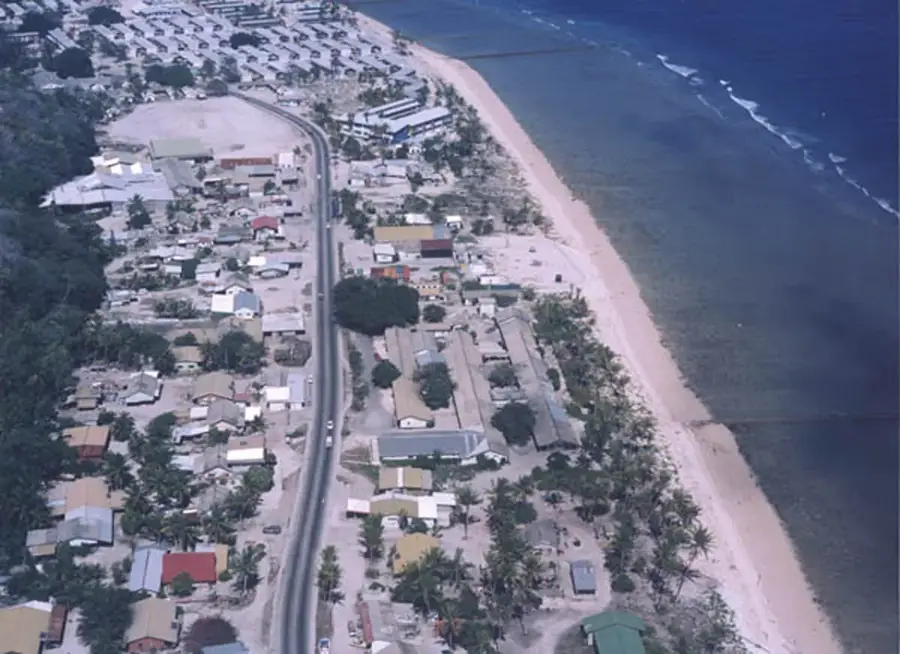 Nibok Palms